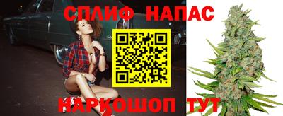 дживик Кимры