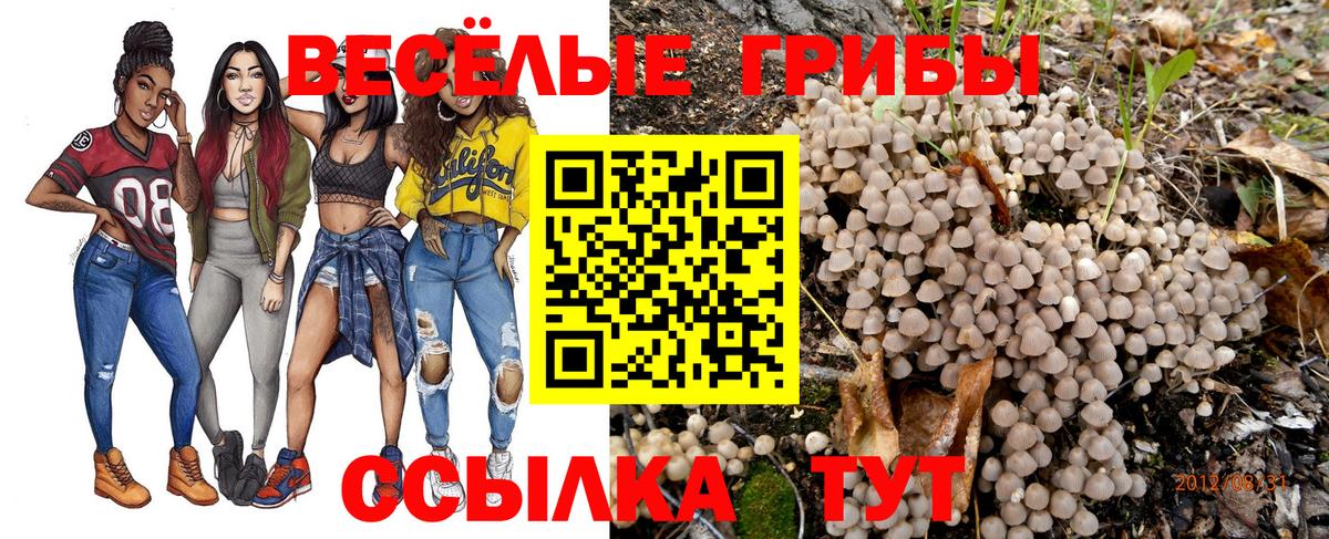 Краснодар  Псилоцибиновые грибы ЛСД  Вход с VPN  Псилоцибиновые грибы мухоморы 