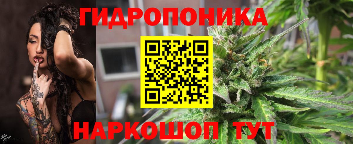 Каннабис OG Kush Краснодар